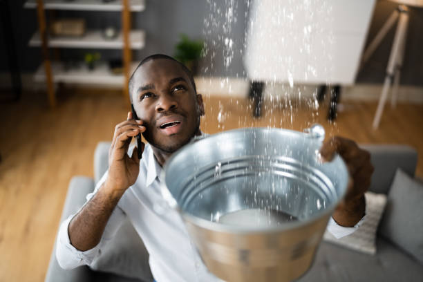 Best Local water damage restoration  in Manhattan Beach, CA