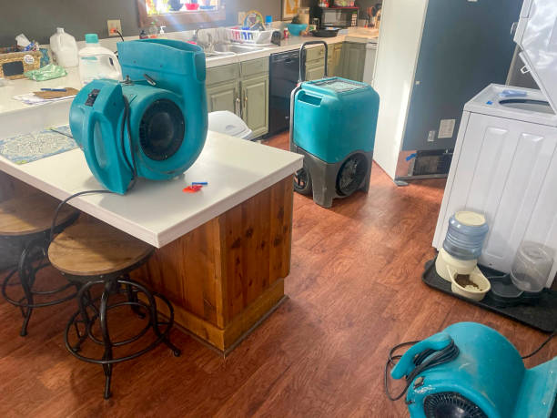 Best Residential water damage restoration  in Manhattan Beach, CA
