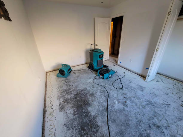 Best Water damage cleanup near me  in Manhattan Beach, CA