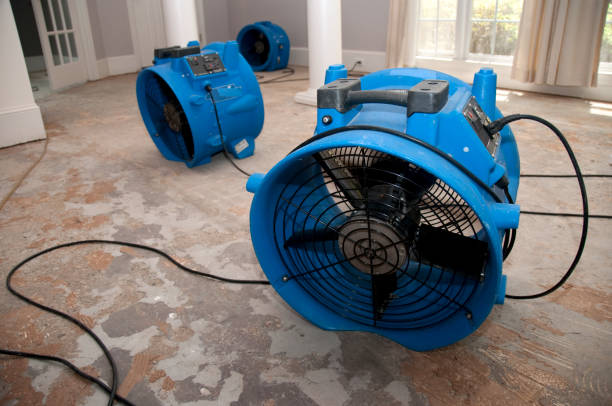 Best Water damage restoration near me  in Manhattan Beach, CA