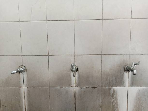  Manhattan Beach, CA Water damage restoration Pros