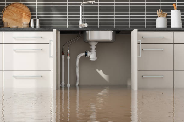 Best Carpet water damage restoration  in Manhattan Beach, CA